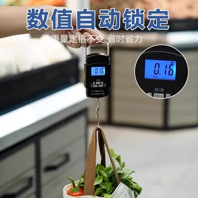Portable digital scale, high precision, with hook