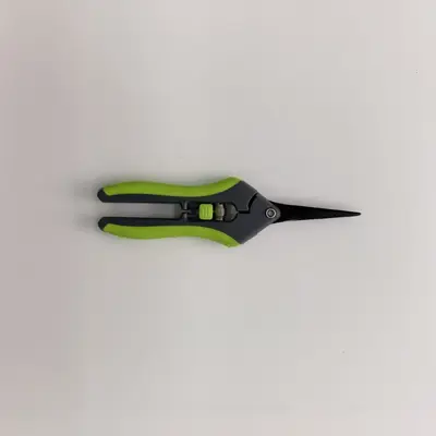Stainless Steel Straight Blade Pruning Shears for Flowers and Fruit