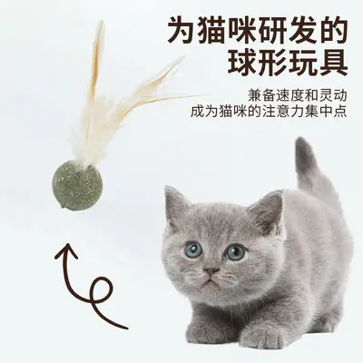 Оптовый кошачий игрушечный мяч с перьями и кошачьей мятой для самостоятельной игры, мяч для чистки и стачивания зубов кошек, устойчивый к жеванию и укусам, дразнилка для кошек от скуки - 2