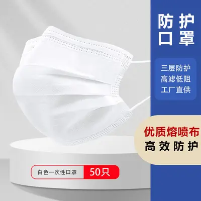 Disposable Adult Face Mask, Three-Layer, Individually Packed, Meltblown Filter - 10