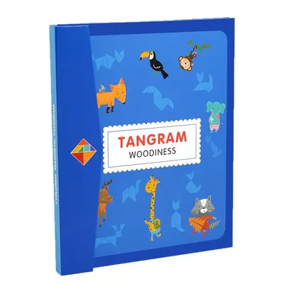 Magnetic Tangram Children's Educational Puzzle, 3D Building Blocks, Grade 1 - 6