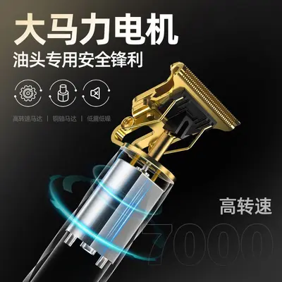 Electric Hair Clipper, Electric Shaver and Custom Shaving Blades