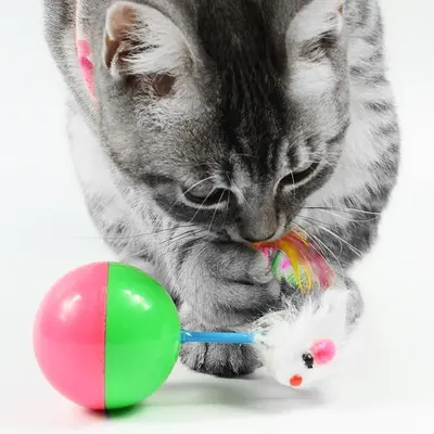 Roly-Poly Mouse Cat Toy with Teaser Wand - 6