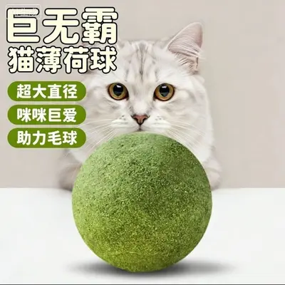 Extra Large Catnip Ball Cat Toy, Self-Play Boredom Relief