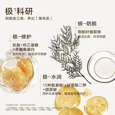 极方防脱洗发水修护柔顺水润干净清爽控油强韧清新果香调洗发露