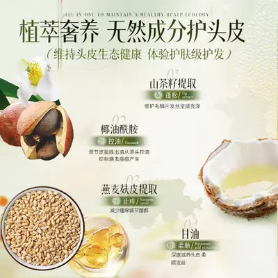 茶麸茶籽洗发水草本养发控油去屑止痒发廊批发跨境现货蓬松