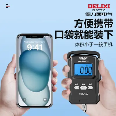 Delixi portable electronic scale