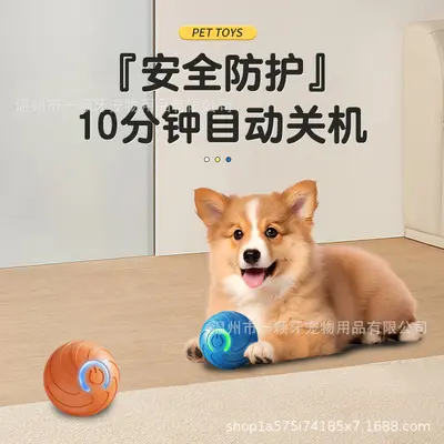 Intelligenter Hunde- und Katzen-Hüpfball, abriebfestes Beschäftigungsspielzeug - 4