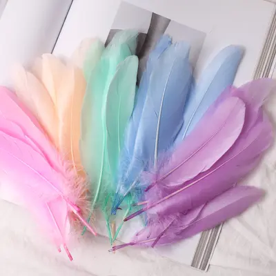 White Goose Feathers, Kindergarten Craft and DIY Jewelry Material