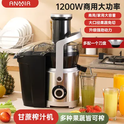 Fruit juicer, fully automatic, large-capacity, commercial - 11