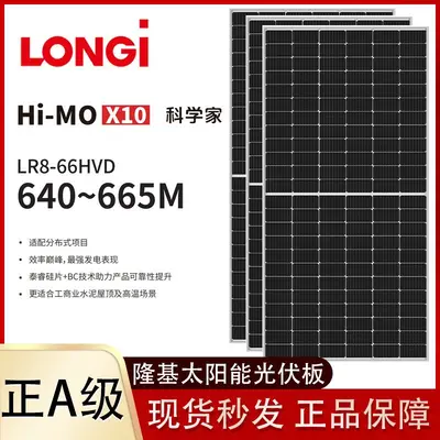 Longi Black Cat X10 Double-Sided Dual-Glass 650W Solar Panel LR8-66HVD640-665M - 1
