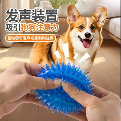 Grenzüberschreitender Hundespielzeug-Ball für Haustiere, quietschendes Huhn, Ball mit Stacheln und Ton, für große und kleine Hunde, elastischer Ball zum Zähneputzen und gegen Langeweile, nicht beißbar