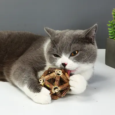 Мяч с кошачьей мятой, милый мяч, игрушка с кошачьей мятой, дразнилка-палочка для кошек из сильвервайна, палочка для чистки коренных зубов, устойчивая к жеванию, принадлежности для котят - 5