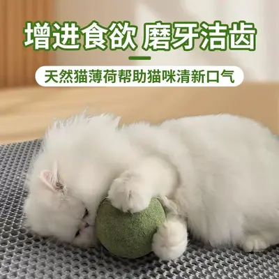 10cm Oversized Catnip Ball Chew Toy for Cats - 4