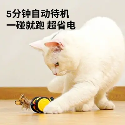 Elektrisches automatisches Katzenspielzeug mit Federangel - 5