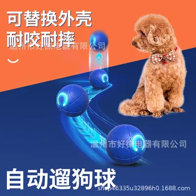 Durable Bouncing Ball Dog Toy, Large, Self-Play - 3