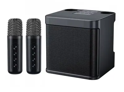 YS203K Karaoke Speaker with Wireless Bluetooth and Dual Microphones - 7