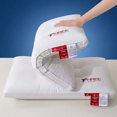 Three-protection pillow dirt-isolating adult hotel