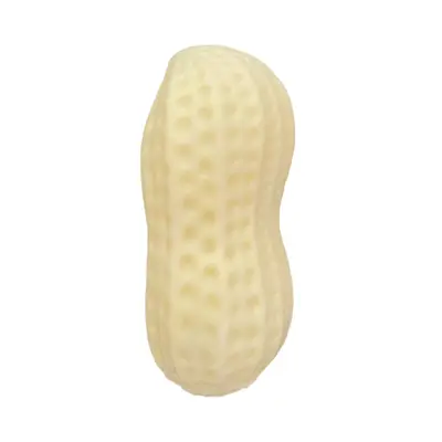 Squeaky Dog Chew Toy for Teeth Cleaning, Durable, Small and Large Breeds - 7