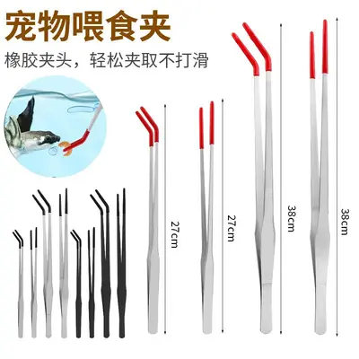 Cross-border popular stainless steel pet rubber head feeding tongs aquatic plants aquarium straight elbow clip reptile feeding tongs