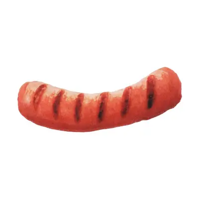 Simulated Pet Toy, Bite-Resistant Cat Teaser Wand and Dog Chew Toy - 10