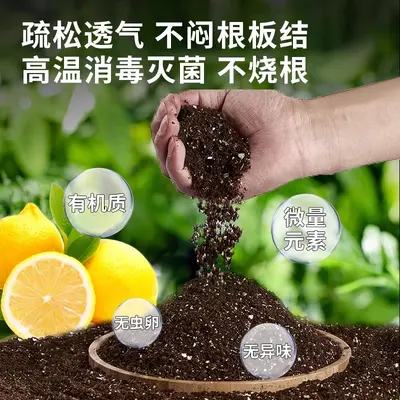 Limon kokulu bitki toprağı, genel amaçlı, gevşek ve havalandırmalı