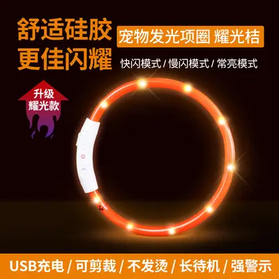 Rechargeable Light-Up Collar for Dogs and Cats - 7
