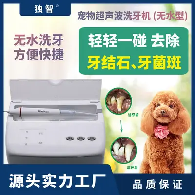 Pet ultrasonic tooth cleaner, dog tartar removal