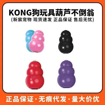 KONG Dog Toy, Pumpkin Leak-Proof Food Puzzle, Bite-Resistant