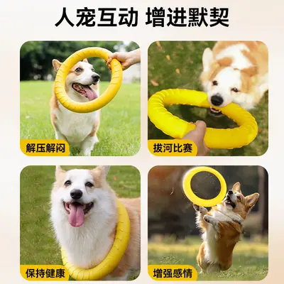 Durable Chew Tug Ring and Frisbee Dog Training Toy - 4