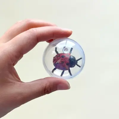 Simulated Fly Cat Teaser Ball, Transparent, Durable Cat Toy - 10