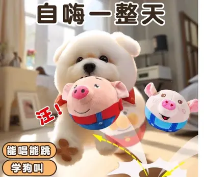 狗狗玩具电动跳跳逗狗遛球宠物自嗨解闷发声磨牙泰迪耐咬幼犬柯基 - 8