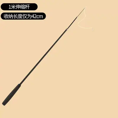 Retractable Cat Teaser Wand with Fox Tail and Bell - 11