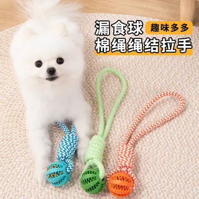 Interactive Dog Rope Toy, Durable, Chew-Resistant - 2