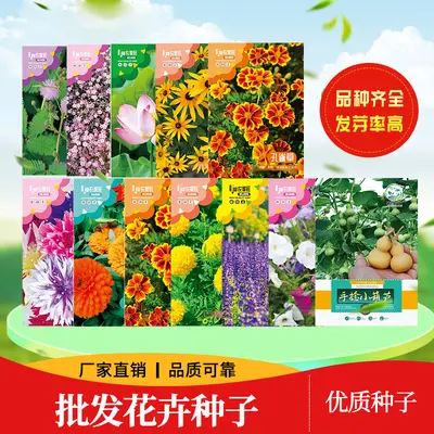 Karışık çiçek tohumu seti, 9 çeşit (kozmos, ayçiçeği, lotus ve diğerleri)