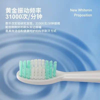 Magnetic Levitation Cordless Sonic Electric Toothbrush, Adult