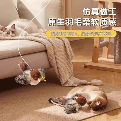 Kedi Oyuncağı Kuş Fare Ses İçeren Dayanıklı