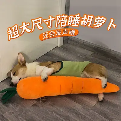 Carrot Plush Dog Toy with Squeaker, Chew Toy for Large Breed Dogs - 1