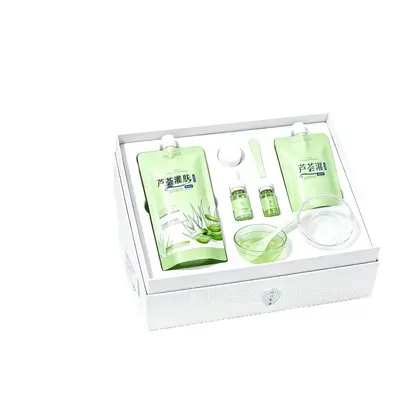 Aloe-Gel-Feuchtigkeitsset für Schönheitssalons, professionelle Gesichtspflege, beruhigende Hautpflege, Aloe-Feuchtigkeitsbehandlung, Hautpflegeprodukte, Hydra-Glow (Wasserlicht)