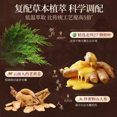 定制侧柏叶黑灵芝草本植物乌发养发液生姜育发液控油蓬松厂家贴牌