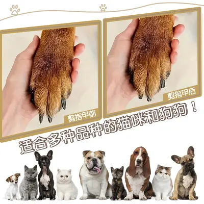 Removable Electric Pet Nail Grinder for Dogs and Cats