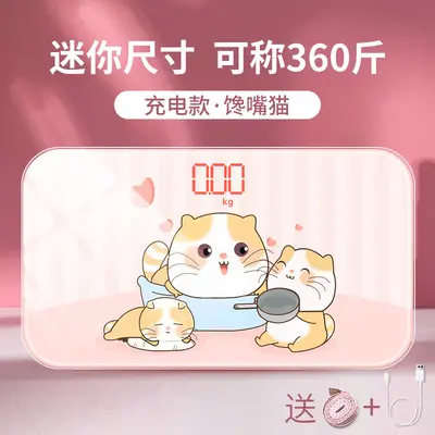 Mini Digital Weight Scale, Portable Rechargeable Model - 9
