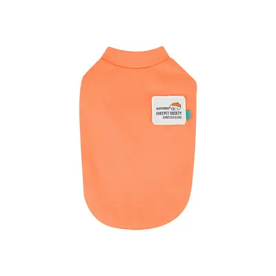Dog Two-Legged Autumn Winter Clothing, Pet Base Layer - 10
