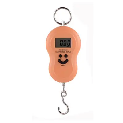 Mini taşınabilir elektronik terazi 50kg kancalı - 8