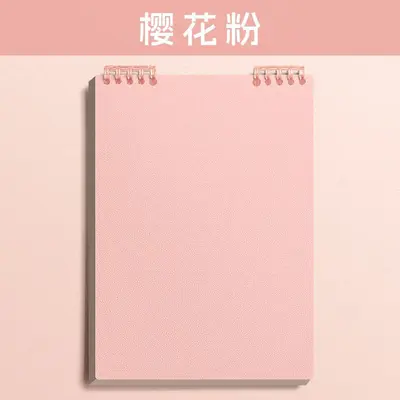 B5 Ring Binder Loose-Leaf Notebook, Removable Spiral Notepad - 8