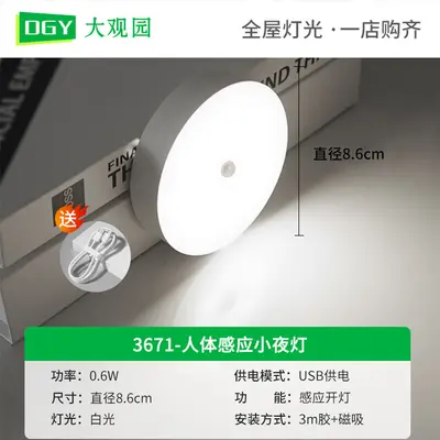 Daguanyuan Human Body Sensor Night Light, Rechargeable