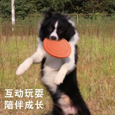 Pet Soft Frisbee Dog Toy, Interactive Training, Floating, Bite-Resistant - 5