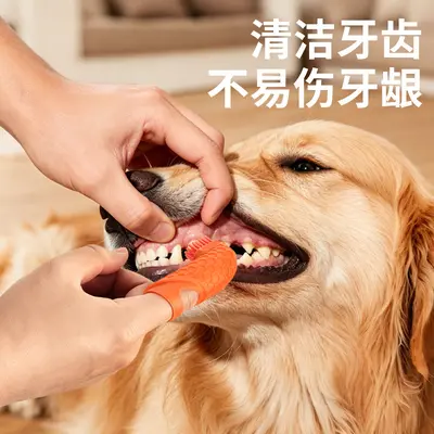 Pet finger toothbrush, dental cleaning - 4