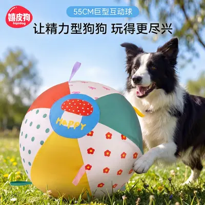 Giant Rolling Dog Ball for Medium and Large Dogs, Outdoor Toy