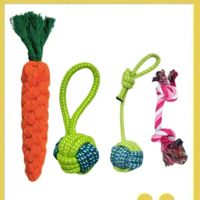 Chew-Resistant Cotton Rope Dog Toy Set for Small and Medium Dogs - 10